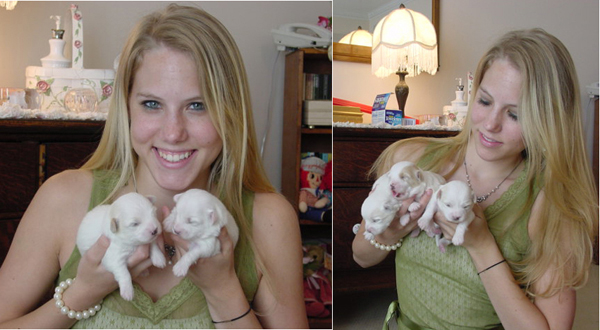 13 day old Bo and Bebe pups