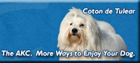 Bébé on the AKC site