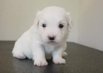 Ashley 4 weeks