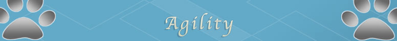 Agility Page