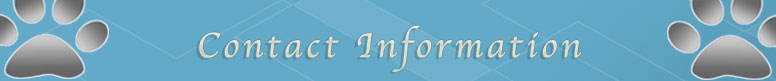 Contact Page