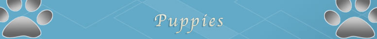 puppies page