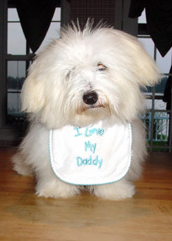 Bogey on Father's Day