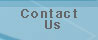 contaact us