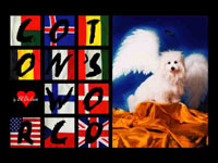 Coton World