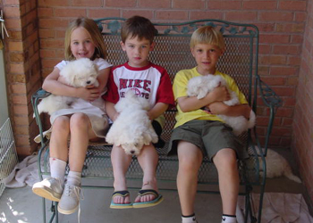 Visitors