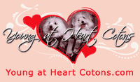 Young at Heart Cotons
